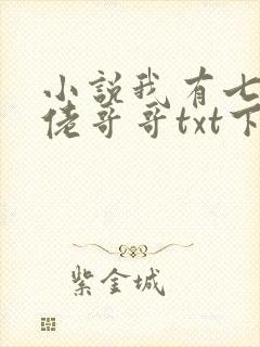 小说我有七个大佬哥哥txt下载