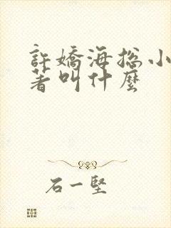 许娇海总小说原著叫什么