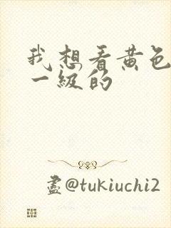 我想看黄色录像一级的