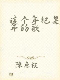 这个年纪是哪一年的歌