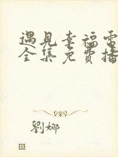 遇见幸福电视剧全集免费播放