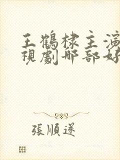 王鹤棣主演的电视剧哪部好看