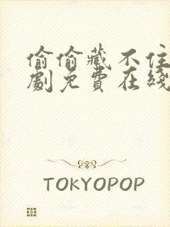 偷偷藏不住电视剧免费在线观看