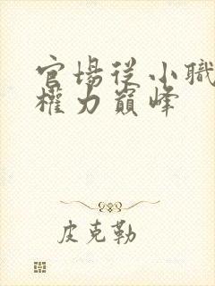 官场从小职员到权力巅峰