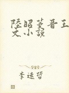 陆昭菱晋王的全文小说