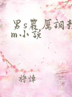 男s严厉调教女m小说