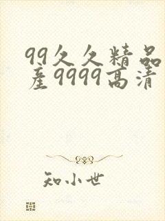 99久久精品国产9999高清