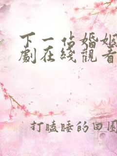 下一站婚姻电视剧在线观看全集