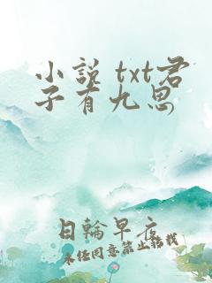 小说 txt君子有九思