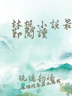 林枫小说最新章节阅读