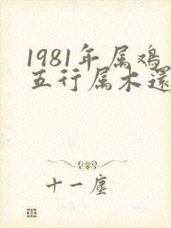1981年属鸡五行属木还是属金