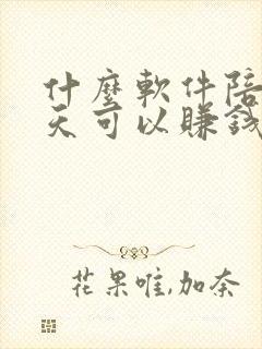 什么软件陪人聊天可以赚钱