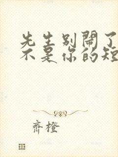 先生别闹了新娘不是你的短剧免费观看