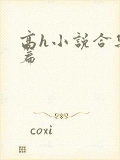 高h小说合集短篇