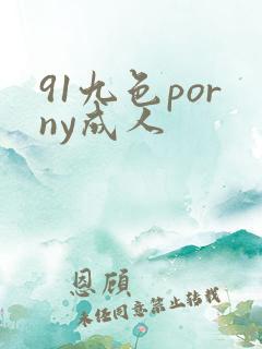 91九色porny成人