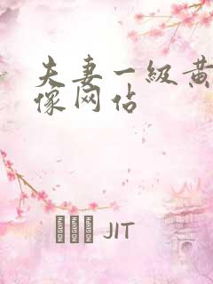 夫妻一级黄色录像网站