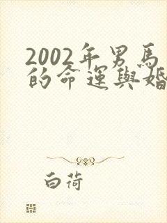 2002年男马的命运与婚姻