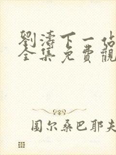 刘涛下一站婚姻全集免费观看