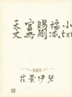 天官赐福小说全文无删减txt