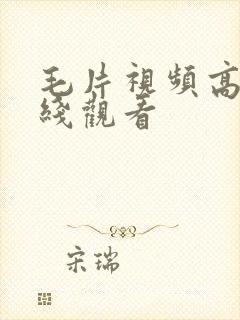 毛片视频高清在线观看