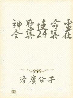 神圣使命电视剧全集24集在线观看免费观看