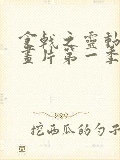 食戟之灵动漫动画片第一季全集免费观看