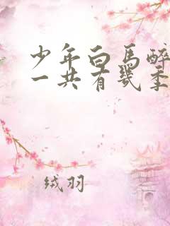 少年白马醉春风一共有几季