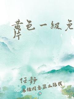 黄色一级免费看片