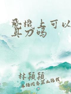 飞机上可以带玩具刀吗