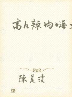 高h辣肉嗨文