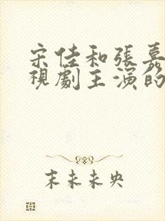 宋佳和张嘉译电视剧主演的电视剧