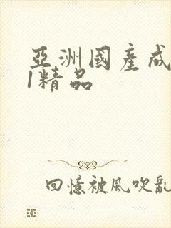 亚洲国产成人91精品