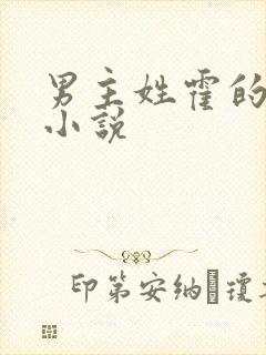 男主姓霍的总裁小说