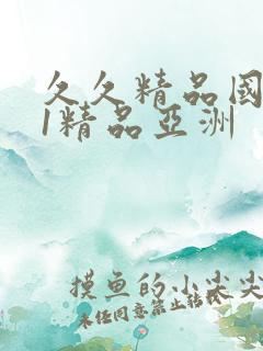 久久精品国产91精品亚洲