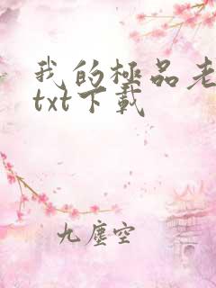 我的极品老婆 txt下载