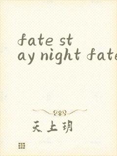 fate stay night fate线