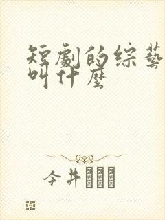 短剧的综艺节目叫什么