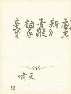 辛柏青新剧《护宝寻踪》免费观看