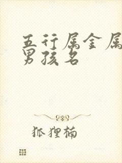 五行属金属水的男孩名