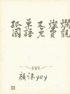 孤单又灿烂的神国语免费观看