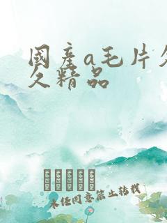 国产a毛片久久久精品