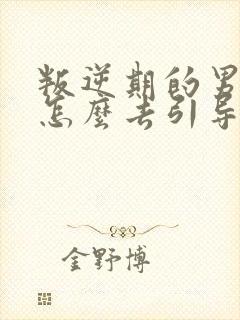 叛逆期的男孩子怎么去引导