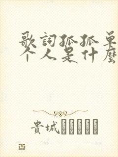 歌词孤孤单单一个人是什么歌