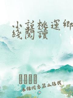 小说桃运乡村在线阅读