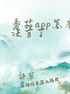番茄app怎么没有了