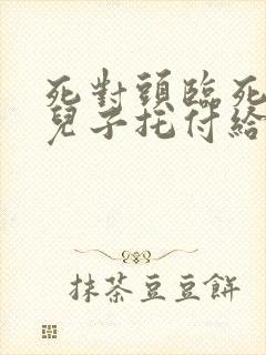 死对头临死前把儿子托付给了我