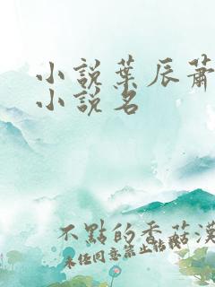 小说叶辰萧初然小说名