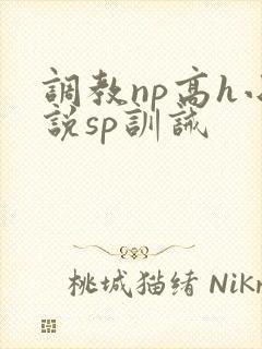 调教np高h小说sp训诫