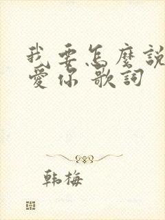 我要怎么说我不爱你 歌词