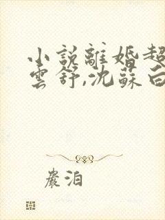 小说离婚超神谢云舒,沈苏白,陆知行